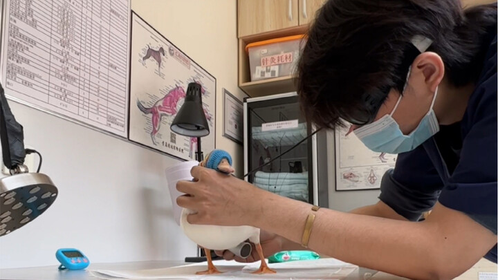 Easy to Take Care Of: Been in a Major Water Phase Lately!