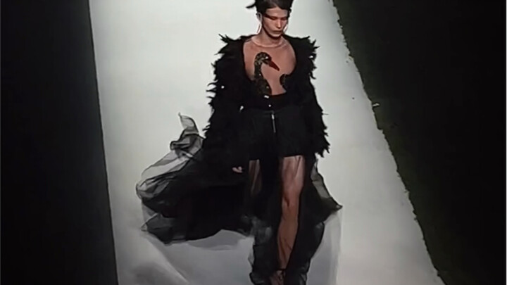 Black swan walk on the runway, nearly covered in a full-screen mosaic