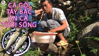 Gỏi Cá sống Tây Bắc | Ẩm Thực Tây Bắc
