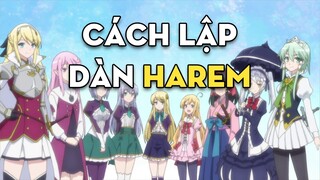 Harem là gì? Cách lập dàn Harem