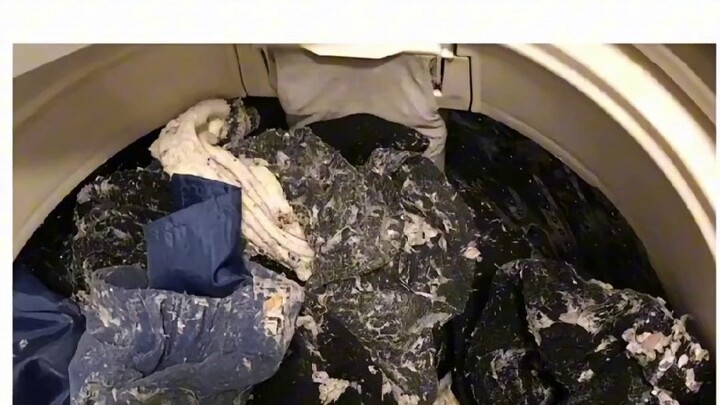 Funny Funny Pictures