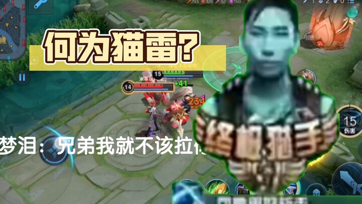 Thế nào là “mèo lôi”? Ai thích Mộng Lôi thì bấm 1 để nhận Hỏa Ngục!