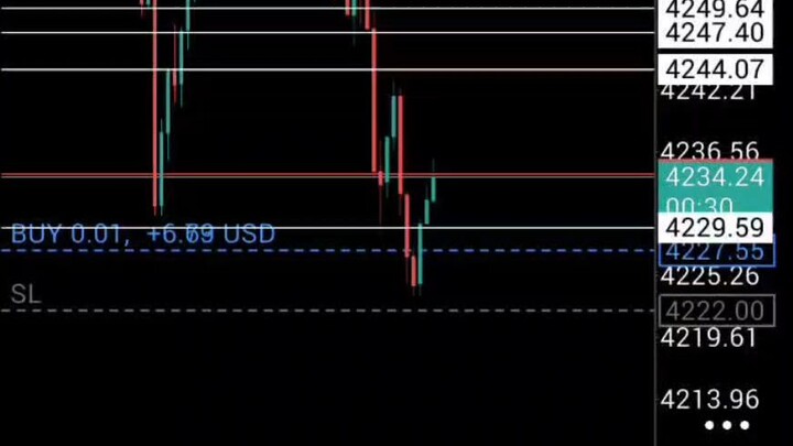 Forex XD Vol.2