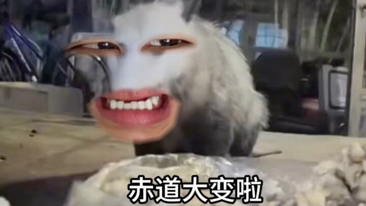 “Bạn đã cho gì vào trong đó vậy”
