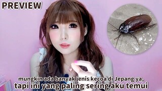 PART 1. KAWAII CULTURE DI JEPANG 🇯🇵 BAHKAN KECOA PUN JUGA DIBIKIN LUCU 😌