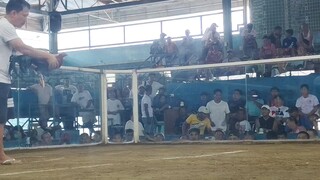 Straight Prh 2hits 1st fyt Win