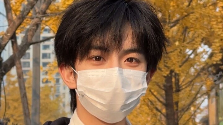 Cây ngân hạnh và chàng trai | Chỉ khi bị cả mạng xã hội “đạo” ảnh thì mới chứng tỏ khoảnh khắc này t