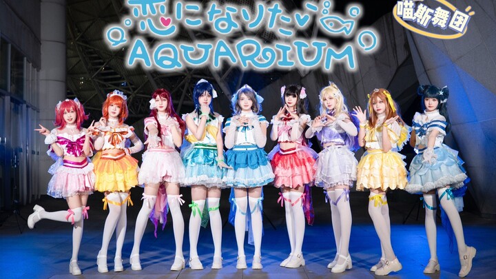 [Meows Dance Company] 9 little fish that belong to you ~ A love aquarium with stunning night scenery