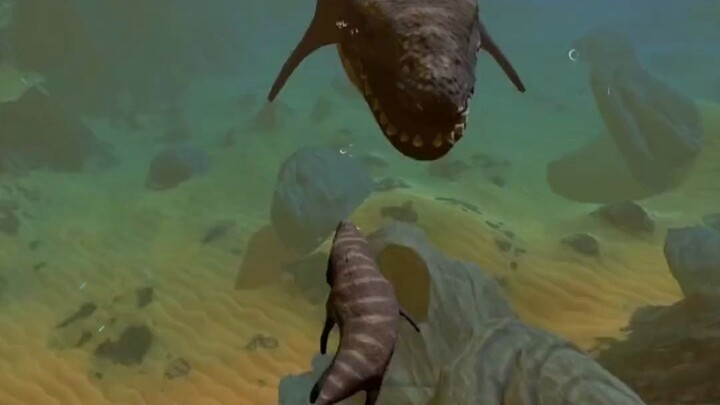 Thế giới đại dương của tôi: Cổ long vĩ đại.