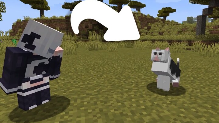 When I added huh cat to the server (player: huh? blabalablabla)