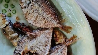 卷不赢，躺不赢，美式清醒打工人～