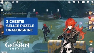 3 Chest!!! Teka Teki Sellie di DragonSpine | Genshin Impact Indonesia