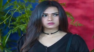 29 Pangeran 2