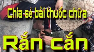 Cuộc Gọi Khẩn Cấp Tập 16| Cứu Thanh Niên Bị Rắn Cắn| Săn Bắt Ẩm Thực Vùng Cao