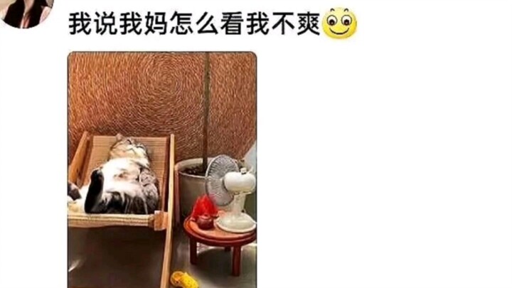 ฉันบอกว่าแม่ฉันทำไมดูไม่ค่อยชอบฉันเลย