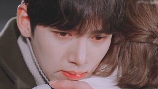 "Tôi lại phải lòng một người nữa - người chạy việc vặt ban đêm" [Healer┃Từ Chính Hậu×Trác Dung Tâm]