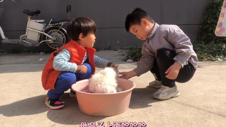 What happened to that amputated doll?