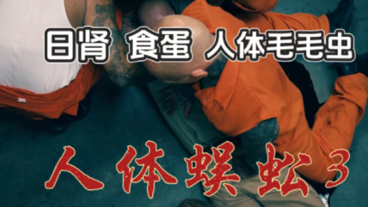 Day of the Kidney, Eating Eggs, Human Caterpillar—The Final Chapter of the Trilogy, "The Human Centi