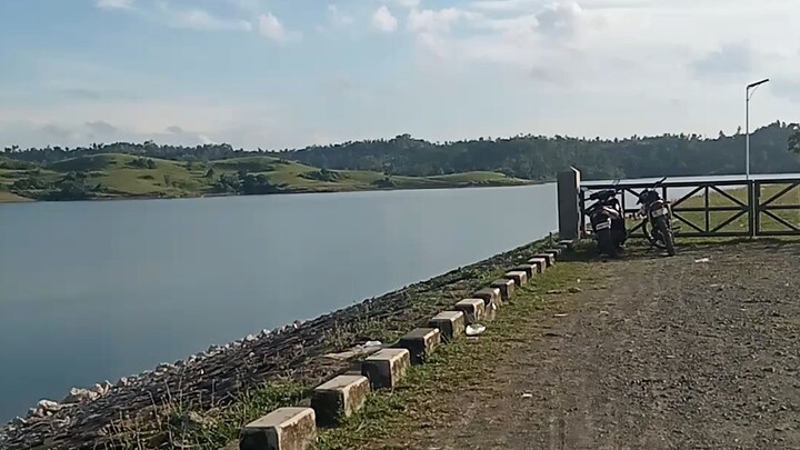 watching them beauty of nature