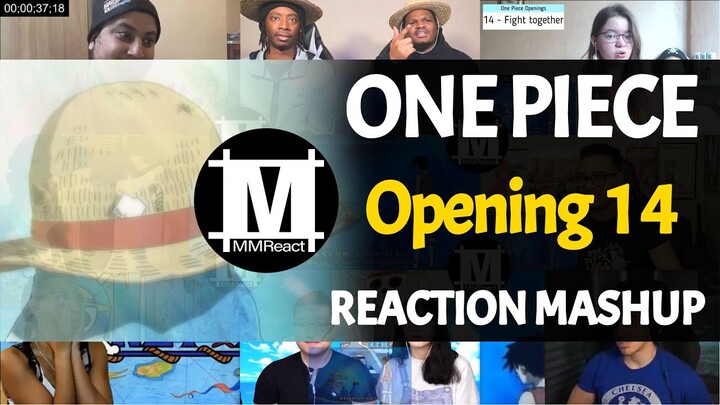 ONE PIECE Opening 14 | Reaction Mashup