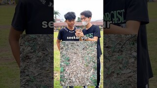 ga ada yang bisa jelasin satupun ularnya dimana ??