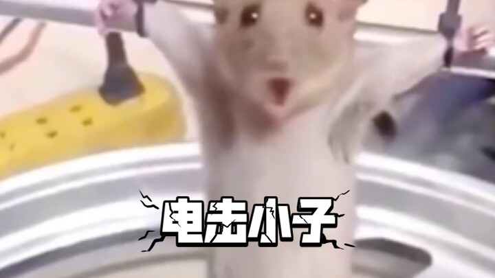 人除了人事不干啥都干