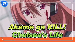 Akame ga KILL!|See Chelsea's whole life in 9 mins|She fought her life to save world，but_2