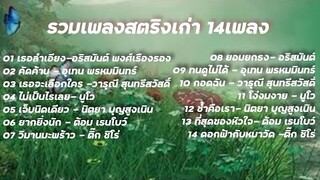 รวมเพลง สตริงเก่า - รวมเพลงสตริงเก่า รวมเพลงเพราะๆ