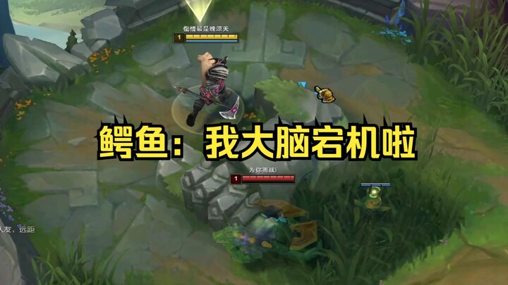 狗头吧智取小鳄鱼