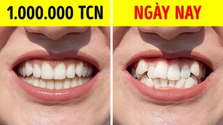 Tại Sao Người Xưa Có Răng Đẹp Hoàn Hảo