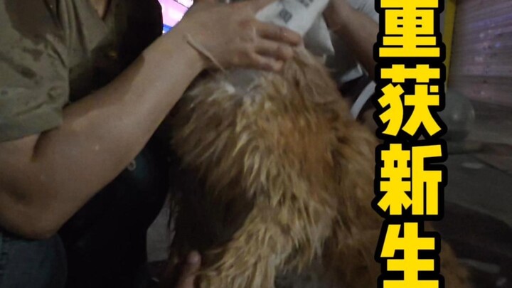 เอาใจเข้าใจไว้ในหัวใจ ใช้เหตุผลเป็นเครื่องมือ