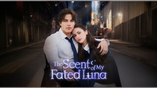 The Secent Of My Faited Luna