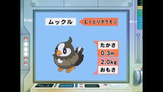 オーキド博士のポケモン大百科(ムックル)