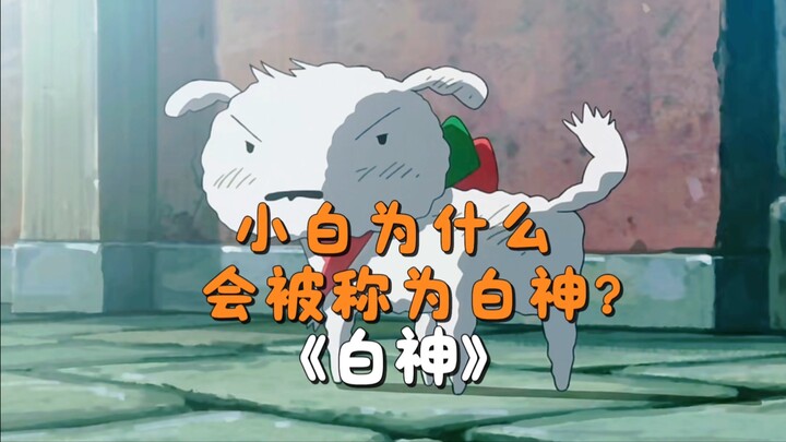 五分钟让你了解小白为什么会成为四神之一