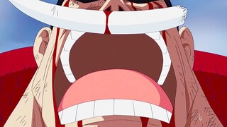 How Chadbeard Told Us What The One Piece Is Will Blow Your Mind