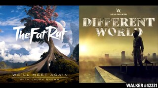 Lost Control ✘ We'll Meet Again [Remix Mashup] - Alan Walker x TheFatRat (ft. Sorana & Laura Brehm)