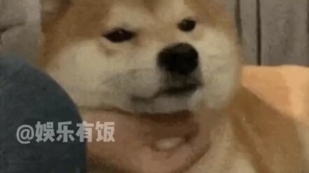 “Ding’er patted you” — said to be good for your health # funny # Ding Chengxin ...