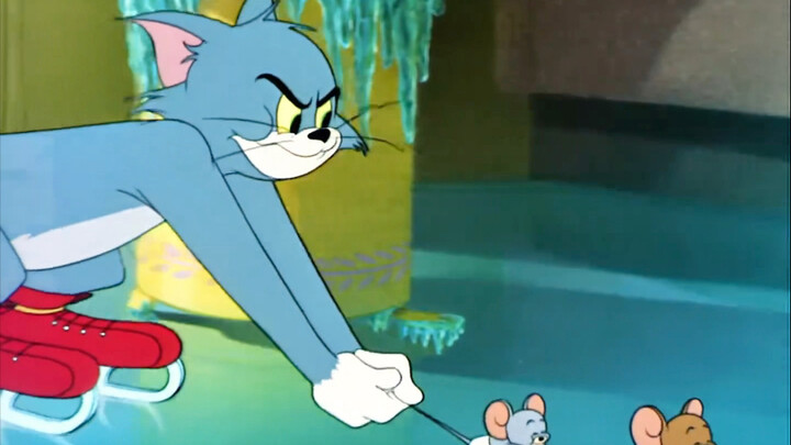 Chuột - Chuột nhắt - Mèo