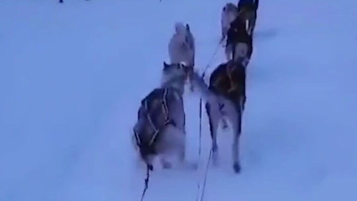 I was terrified at the time—didn’t even dare to breathe. What the heck!