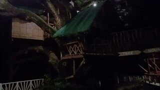 KDRAC Tree House Accommodation | One Minute Tid Bit Daily Video | OTD