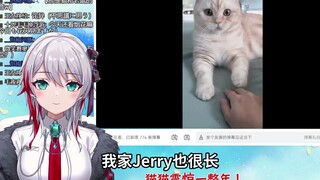 日本天然小姐姐看《猫猫震惊一整年！》