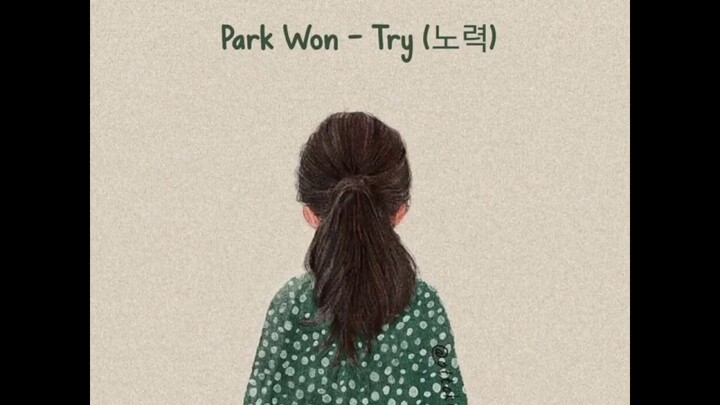 Park Won (박원) - Try (노력) Lyrics [Rom/Indo]
