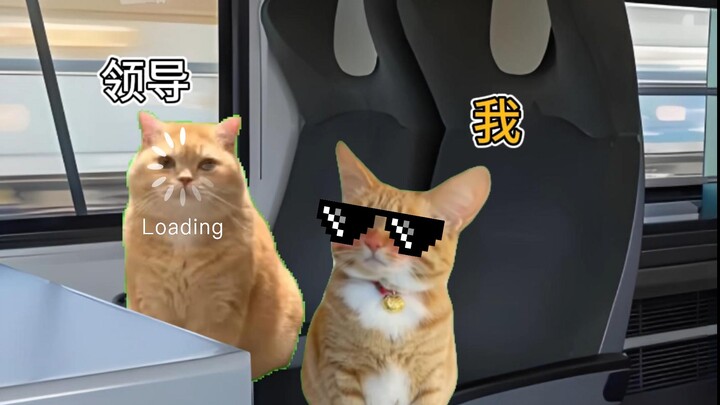 Khi bạn cùng sếp đi tàu cao tốc công tác