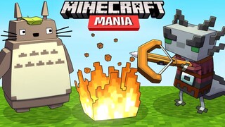 Minecraft Mania - Partículas 3D, Totoro