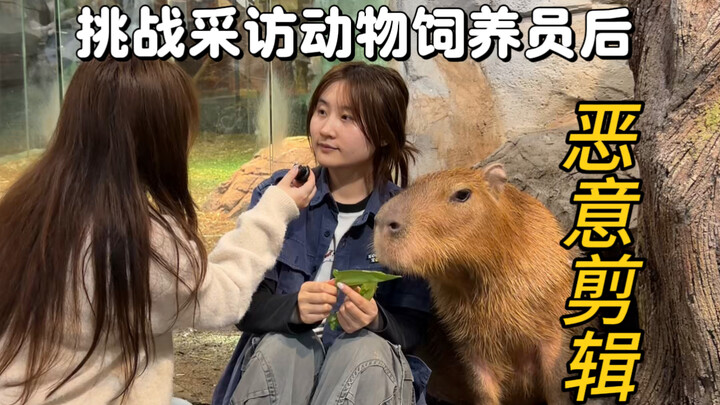 Challenge: Villainously Edit the Zookeeper’s Videos in a Clickbait Style