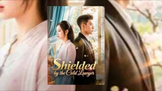 Shielded by the Cold Lawyer