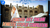 [Domestic Cosplay] Sword Art Online Gorgeous Cosplay Compilation_1