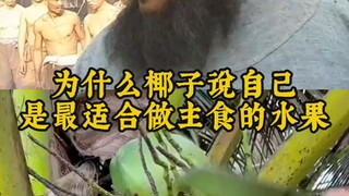 Mengapa kelapa mengatakan bahwa dirinya adalah buah yang paling cocok untuk dijadikan makanan pokok?