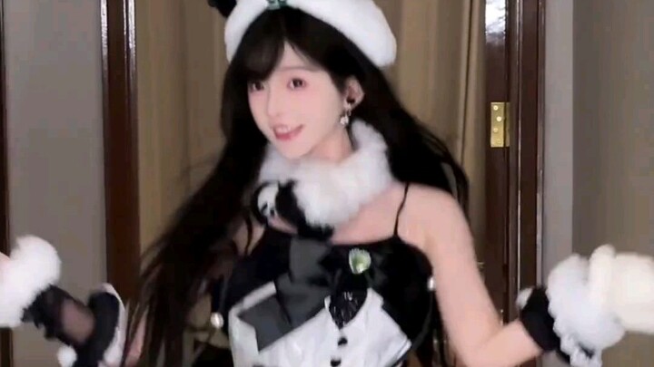Gấu trúc đỏ đang đến