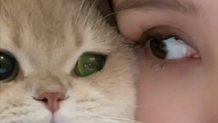 This little kitty’s love feels a bit half-hearted.